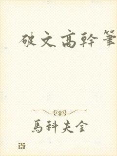 破文高干笔趣阁