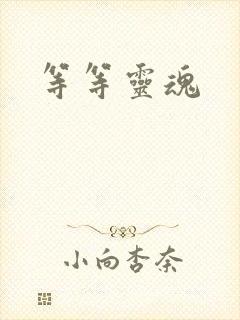 等等灵魂