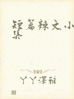短篇辣文小说合集