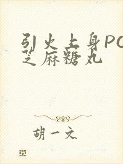 引火上身POP芝麻糖丸