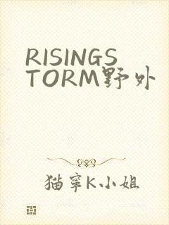 RISINGSTORM野外
