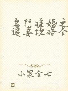 名门暖婚之权爷追妻攻略全文免费阅读