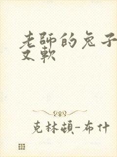 老师的兔子又大又软