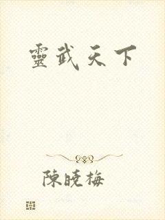 灵武天下封面