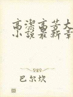 高洁高芳大团圆小说最新章节免费阅读封面