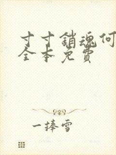 寸寸销魂何生祥全本免费封面