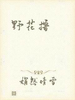 野花撸封面