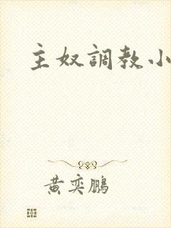 主奴调教小说封面