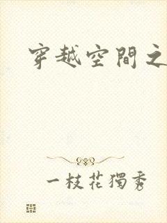 穿越空间之张氏封面
