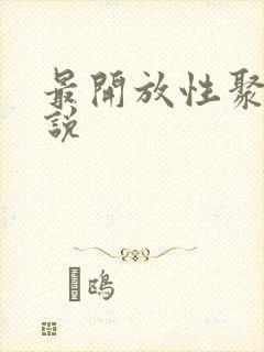 最开放性聚会小说
