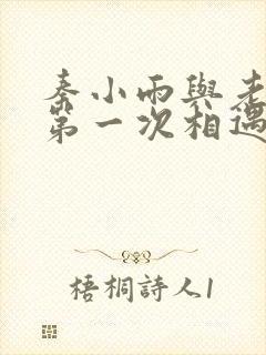 秦小雨与老旺的第一次相遇封面