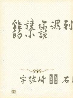 能让你湿到不行的小说