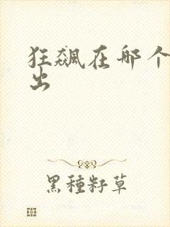 狂飙在哪个台播出