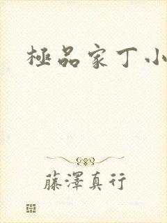 极品家丁小说