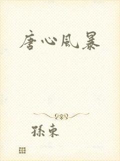唐心风暴