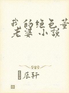 我的绝色董事长老婆 小说封面