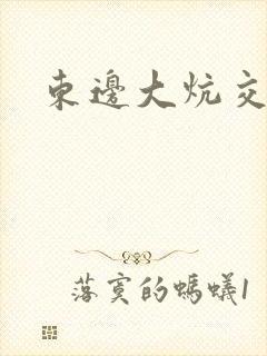 东边大炕交换