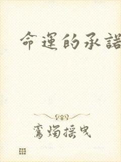 命运的承诺