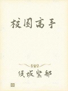校园高手