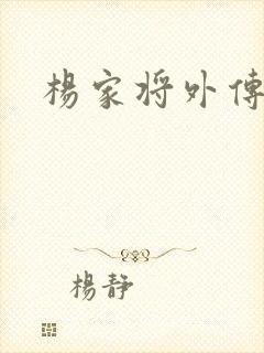 杨家将外传封面