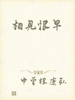 相见恨早