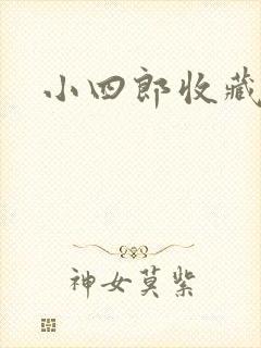 小四郎收藏家封面
