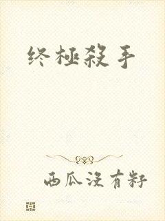 终极杀手