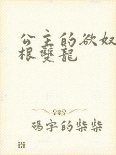 公主的欲奴h四根双龙