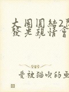 大团圆结2闪闪发光亲情会