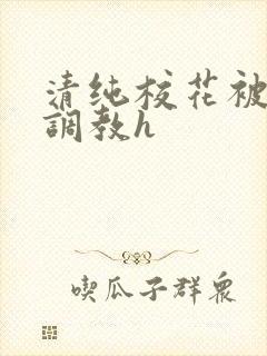 清纯校花被地狱调教h