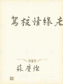 驾校情缘老赵