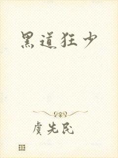 黑道狂少封面