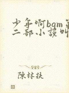 少年啊bgm第二部小说叫什么