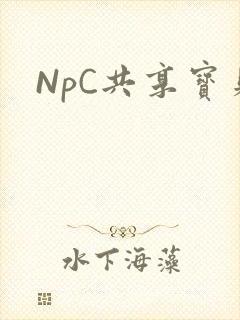 NpC共享宝贝