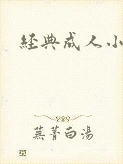 经典成人小说