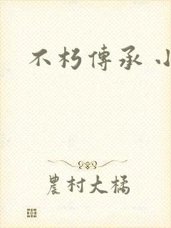 不朽传承 小说封面