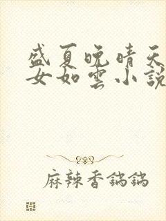 盛夏晚晴天之美女如云小说