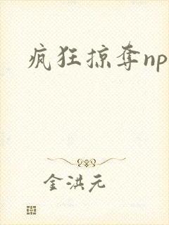 疯狂掠夺npc