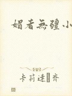 媚者无疆小说