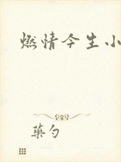 燃情今生小说