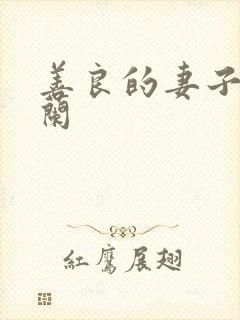 善良的妻子王晓兰