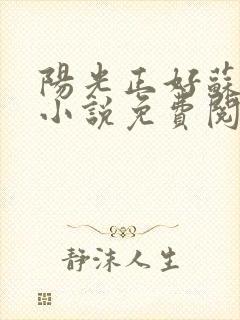 阳光正好苏玥玥小说免费阅读封面