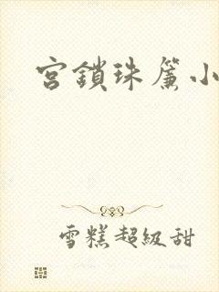宫锁珠帘小说