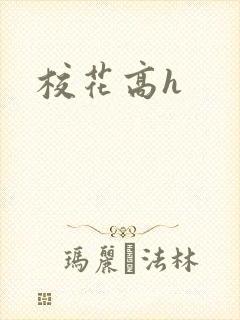 校花高h封面