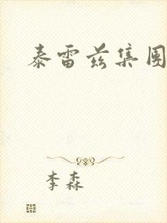 泰雷兹集团