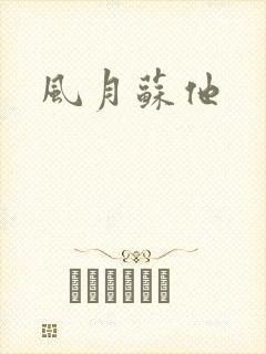 风月苏他封面