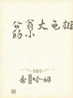 公翁大龟挺进我的小