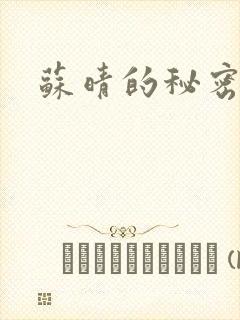苏晴的秘密小说封面