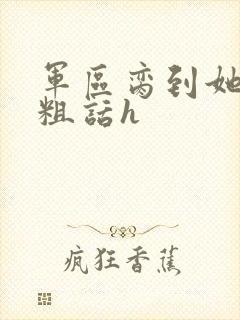 军区脔到她哭h粗话h封面