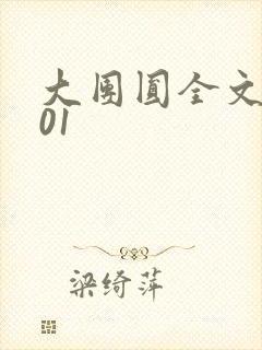 大团圆全文阅读01封面